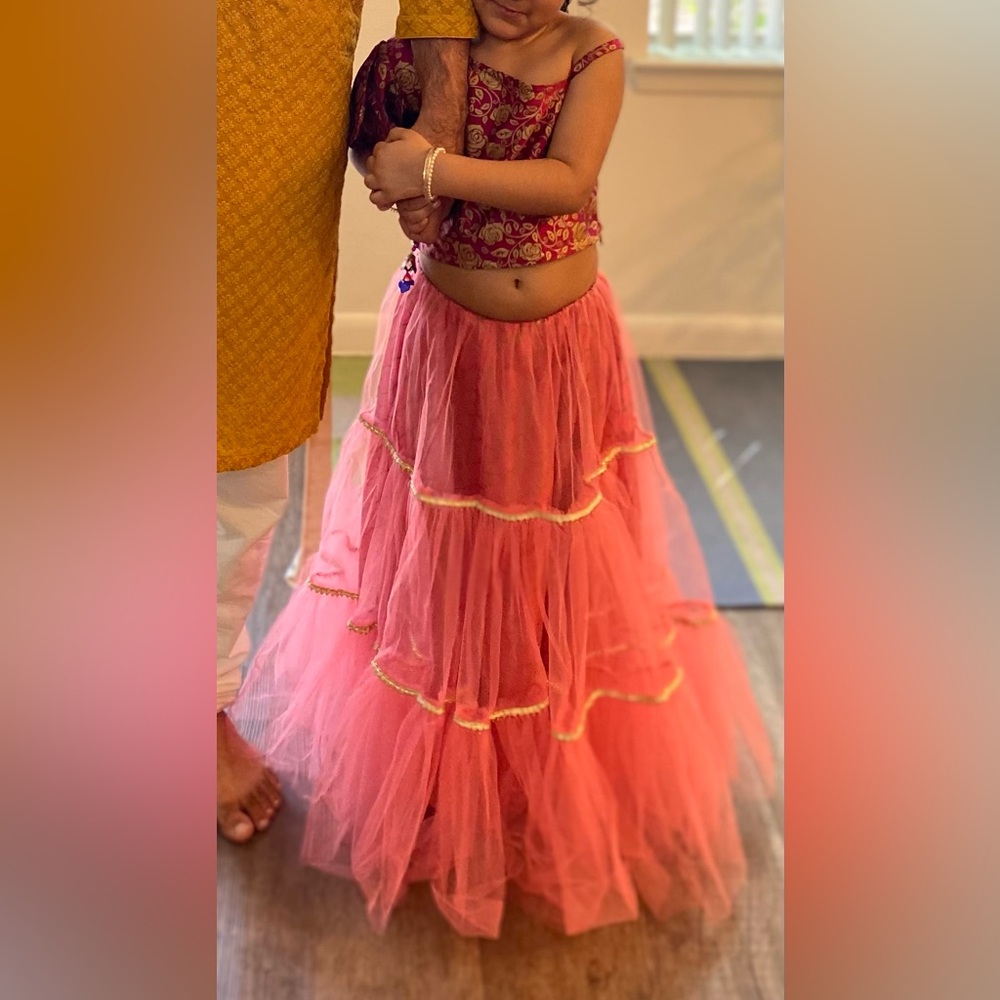 Beautiful net lehenga Indian wear